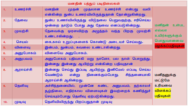 10 stages of mind functioning1